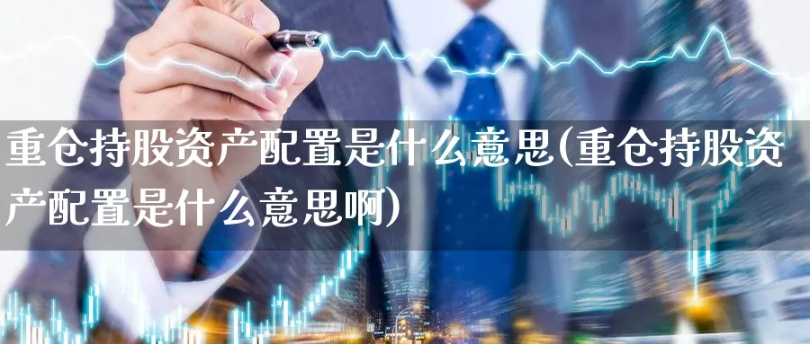 重仓持股资产配置是什么意思(重仓持股资产配置是什么意思啊)