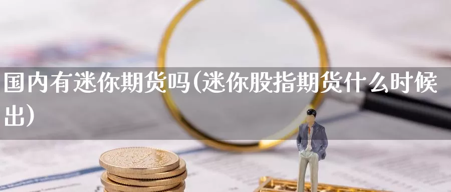 国内有迷你期货吗(迷你股指期货什么时候出)