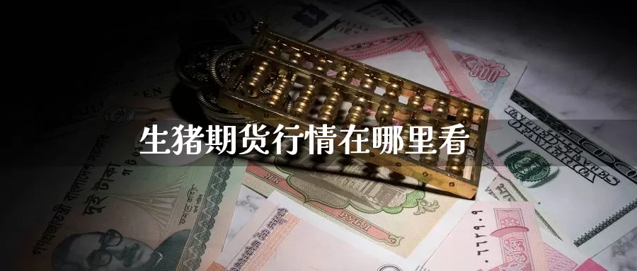 生猪期货行情在哪里看