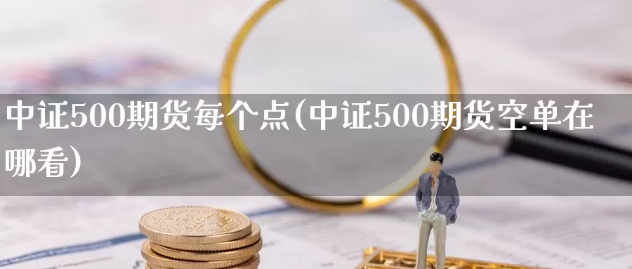 中证500期货每个点(中证500期货空单在哪看)