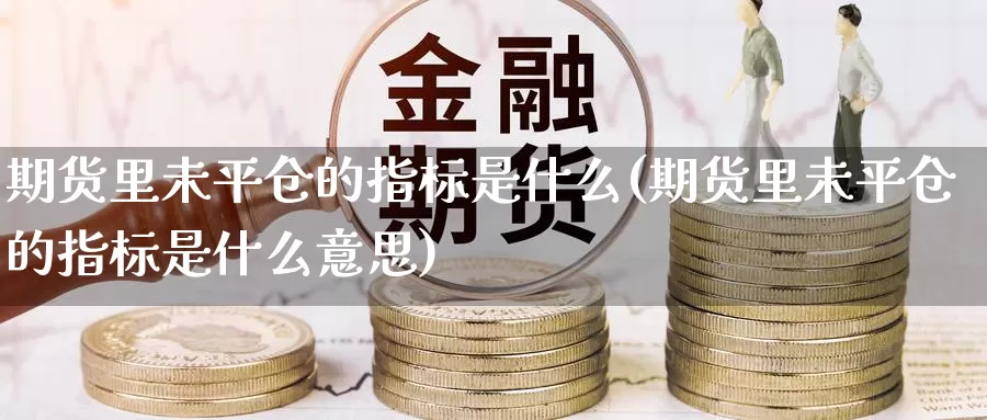 期货里未平仓的指标是什么(期货里未平仓的指标是什么意思)