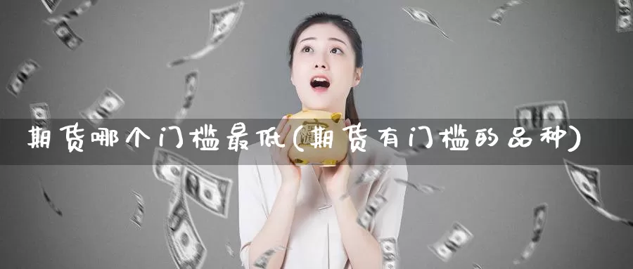 期货哪个门槛最低(期货有门槛的品种)