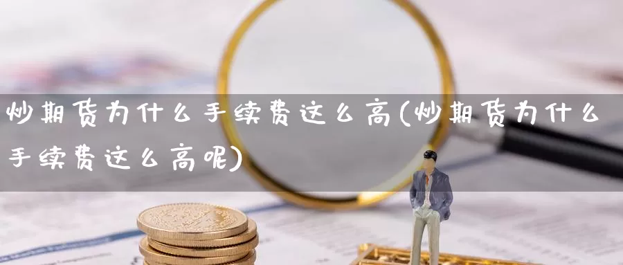炒期货为什么手续费这么高(炒期货为什么手续费这么高呢)