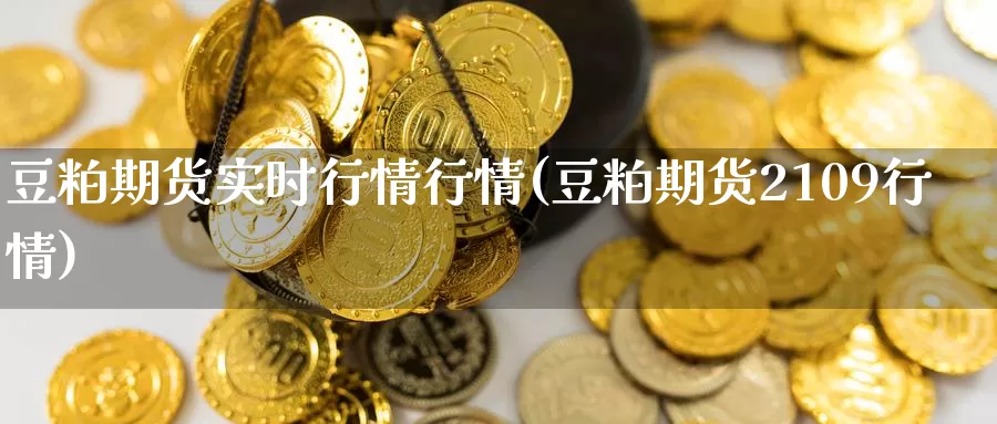 豆粕期货实时行情行情(豆粕期货2109行情)