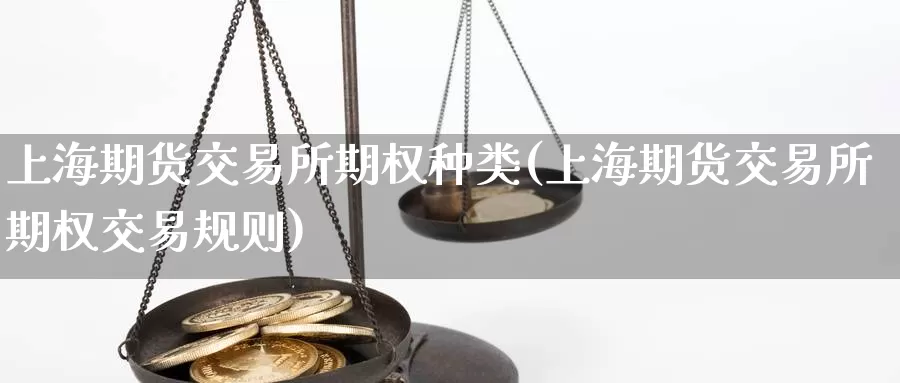 上海期货交易所期权种类(上海期货交易所期权交易规则)