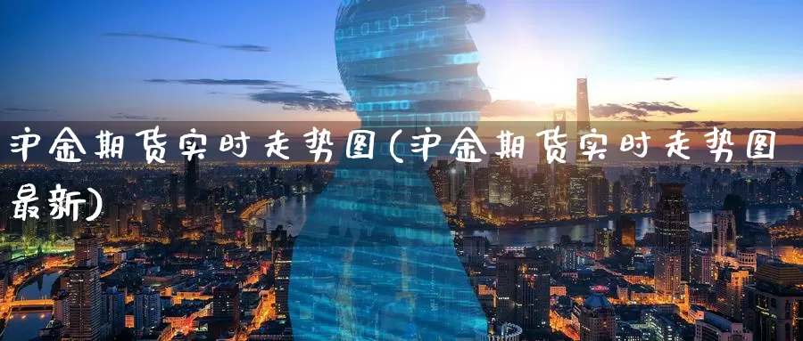 沪金期货实时走势图(沪金期货实时走势图最新)
