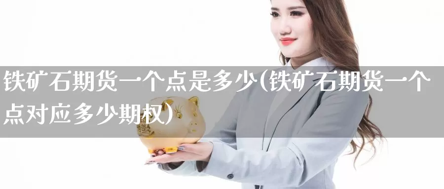 铁矿石期货一个点是多少(铁矿石期货一个点对应多少期权)