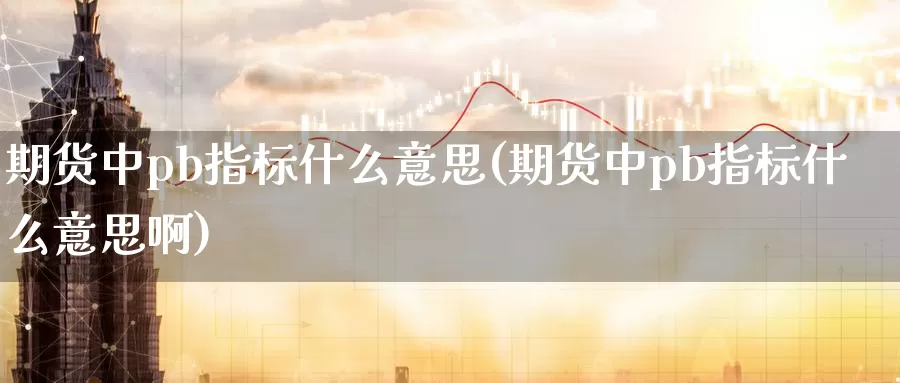 期货中pb指标什么意思(期货中pb指标什么意思啊)