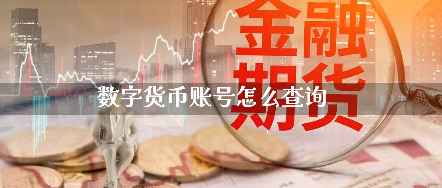 数字货币账号怎么查询