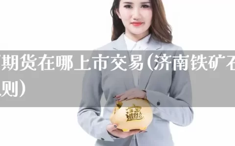 铁矿石期货在哪上市交易(济南铁矿石期货交易规则)