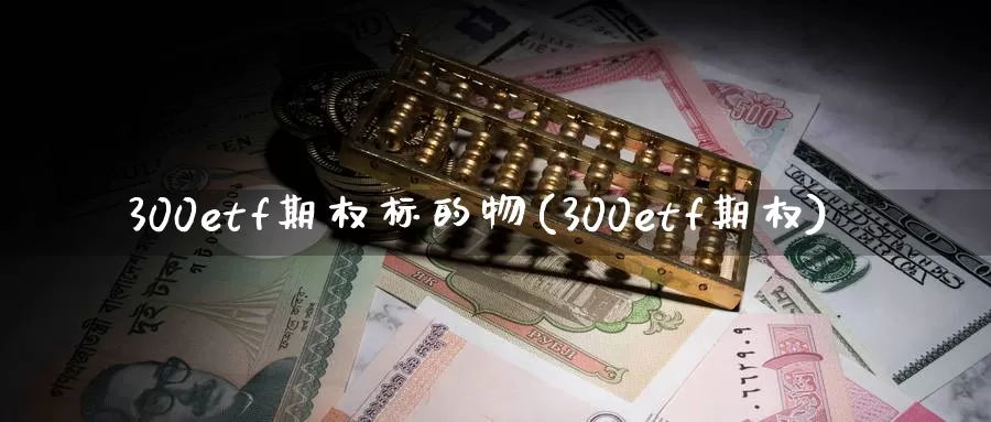 300etf期权标的物(300etf期权)