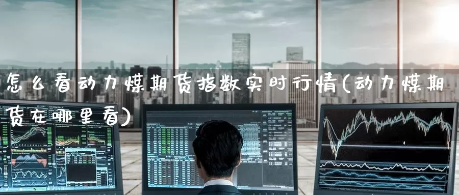 怎么看动力煤期货指数实时行情(动力煤期货在哪里看)