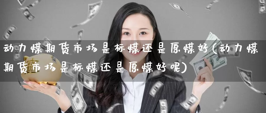 动力煤期货市场是标煤还是原煤好(动力煤期货市场是标煤还是原煤好呢)