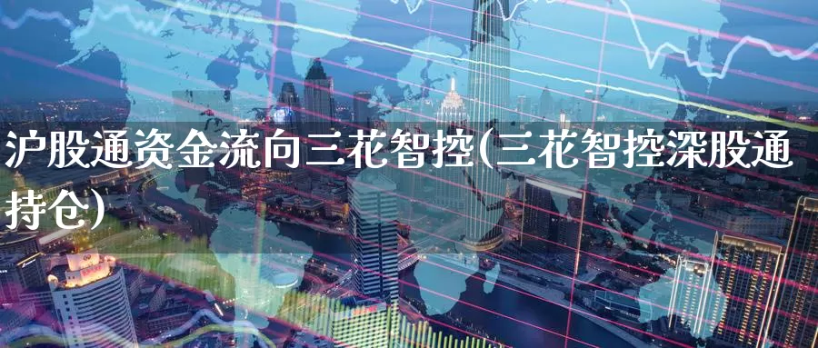 沪股通资金流向三花智控(三花智控深股通持仓)