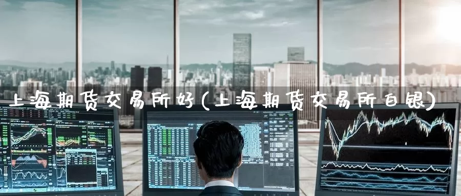 上海期货交易所好(上海期货交易所白银)