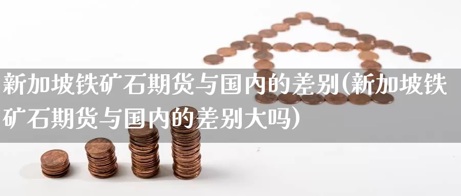 新加坡铁矿石期货与国内的差别(新加坡铁矿石期货与国内的差别大吗)