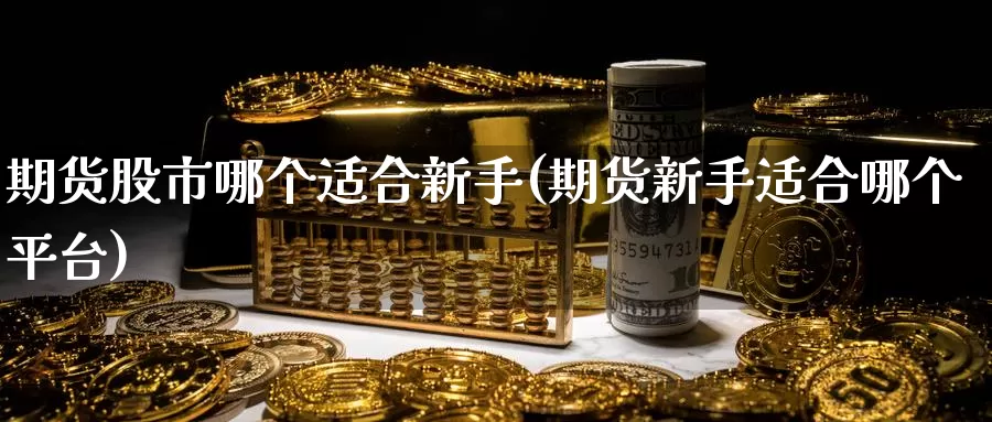 期货股市哪个适合新手(期货新手适合哪个平台)