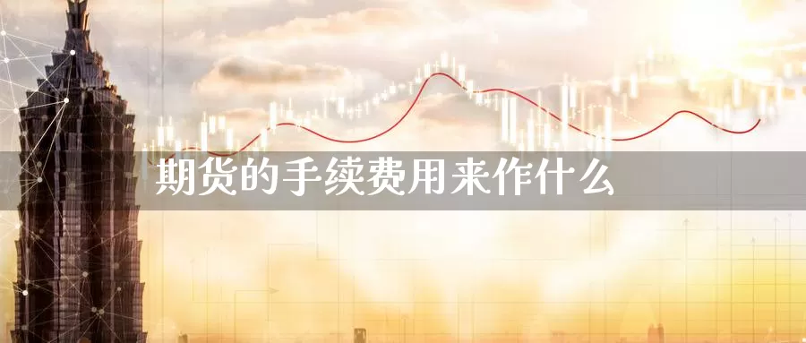 期货的手续费用来作什么