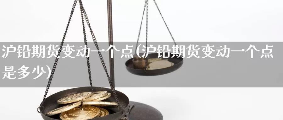 沪铅期货变动一个点(沪铅期货变动一个点是多少)