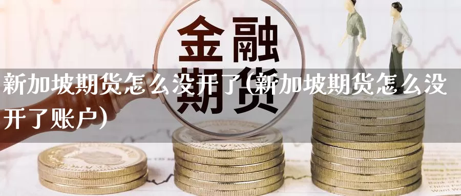 新加坡期货怎么没开了(新加坡期货怎么没开了账户)