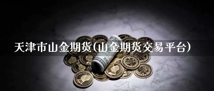 天津市山金期货(山金期货交易平台)