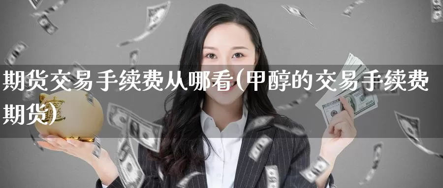 期货交易手续费从哪看(甲醇的交易手续费期货)