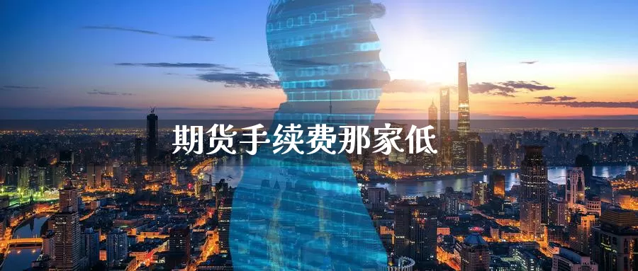 期货手续费那家低