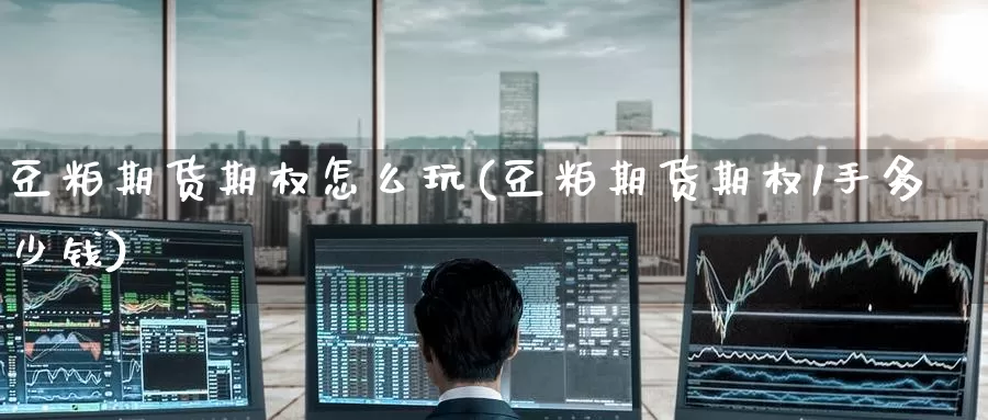 豆粕期货期权怎么玩(豆粕期货期权1手多少钱)