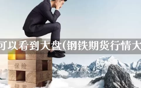 期货可以看到大盘(钢铁期货行情大盘)
