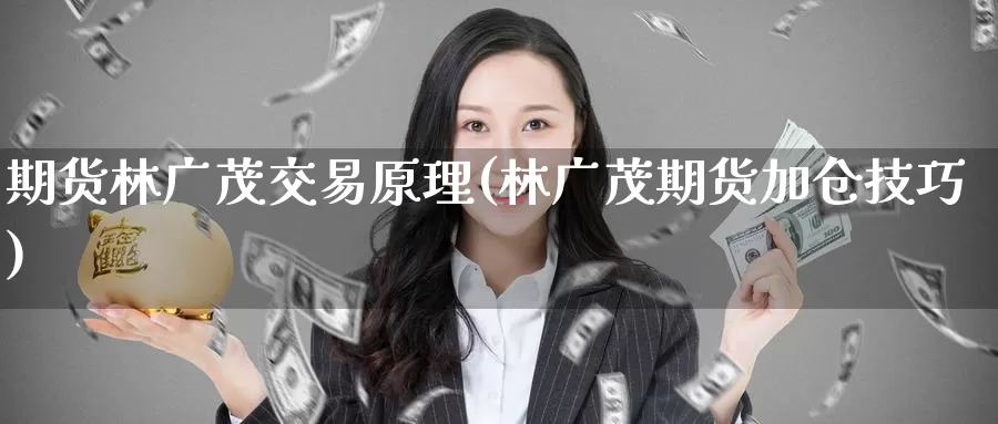 期货林广茂交易原理(林广茂期货加仓技巧)