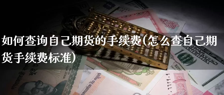 如何查询自己期货的手续费(怎么查自己期货手续费标准)