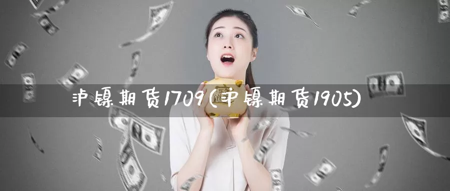 泸镍期货1709(沪镍期货1905)