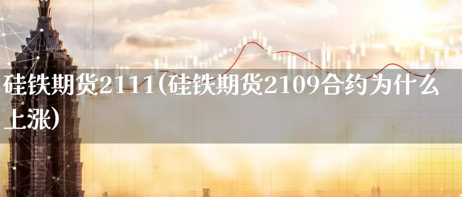 硅铁期货2111(硅铁期货2109合约为什么上涨)