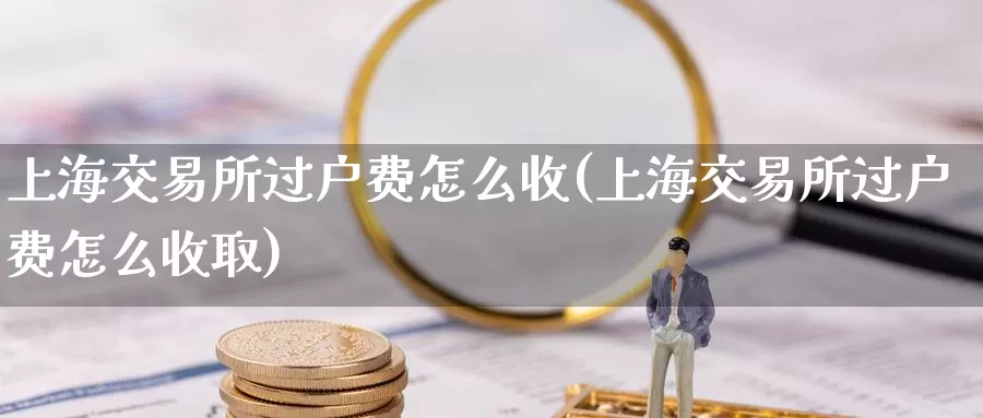 上海交易所过户费怎么收(上海交易所过户费怎么收取)