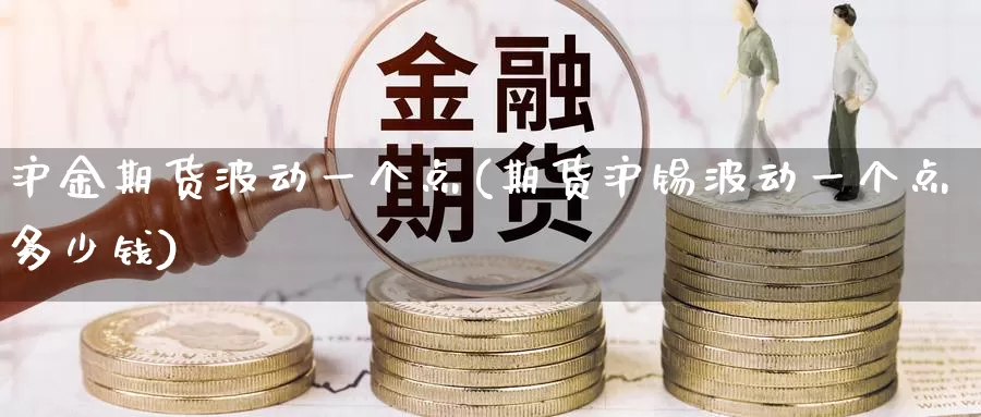 沪金期货波动一个点(期货沪锡波动一个点多少钱)