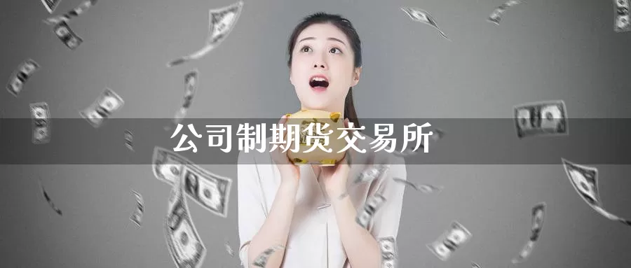 公司制期货交易所