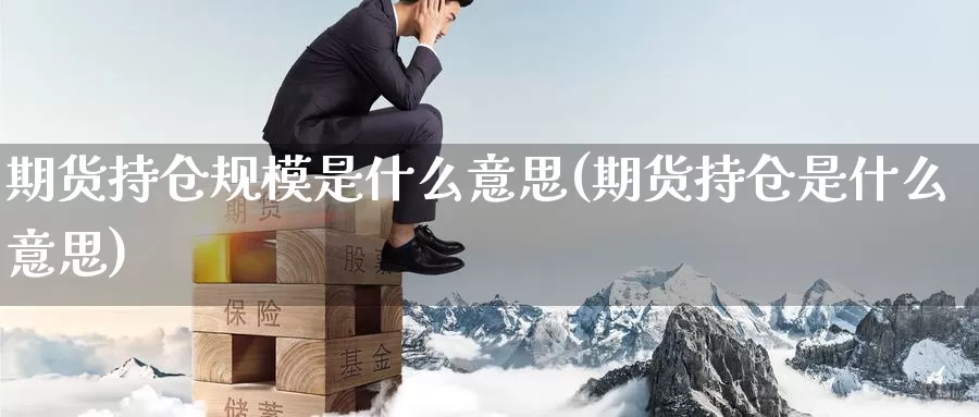 期货持仓规模是什么意思(期货持仓是什么意思)