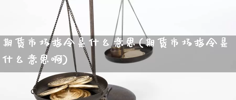 期货市场指令是什么意思(期货市场指令是什么意思啊)