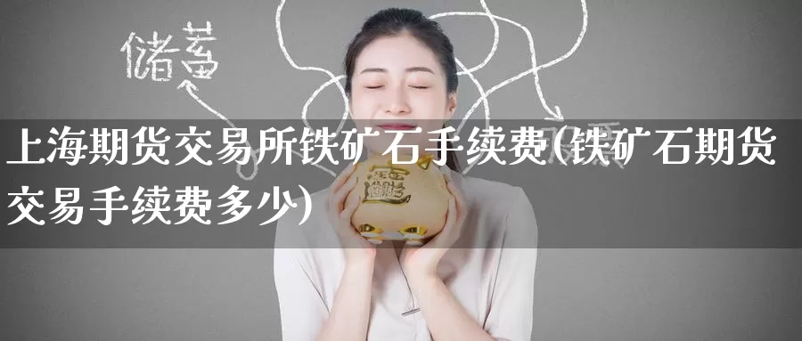上海期货交易所铁矿石手续费(铁矿石期货交易手续费多少)