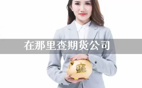 在那里查期货公司