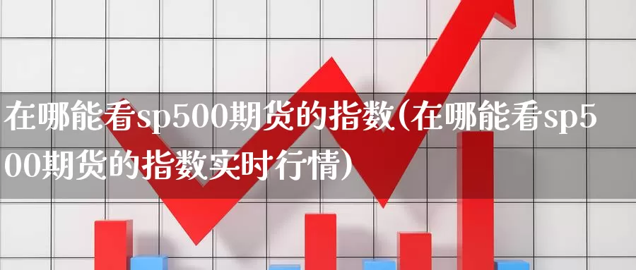 在哪能看sp500期货的指数(在哪能看sp500期货的指数实时行情)