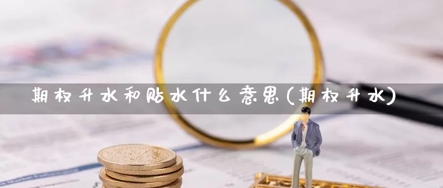 期权升水和贴水什么意思(期权升水)