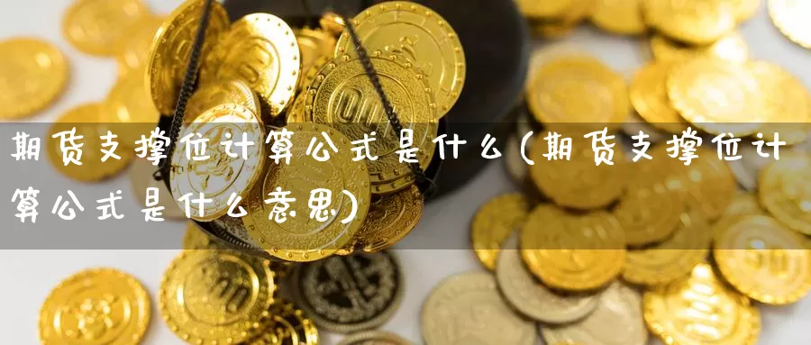期货支撑位计算公式是什么(期货支撑位计算公式是什么意思)