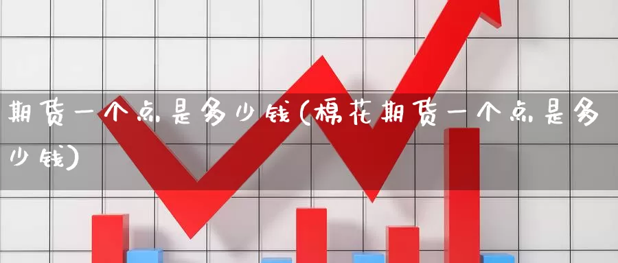 期货一个点是多少钱(棉花期货一个点是多少钱)