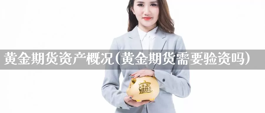 黄金期货资产概况(黄金期货需要验资吗)