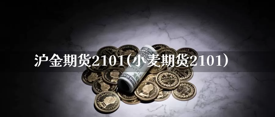 沪金期货2101(小麦期货2101)