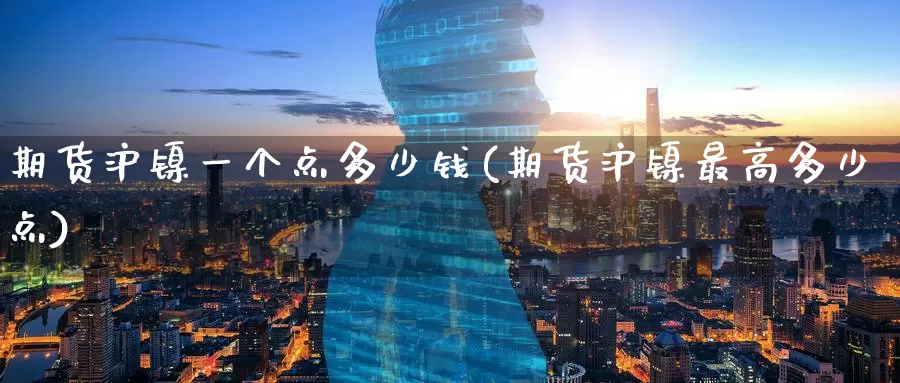 期货沪镍一个点多少钱(期货沪镍最高多少点)