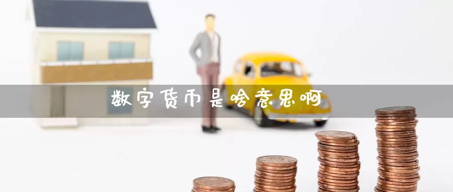 数字货币是啥意思啊