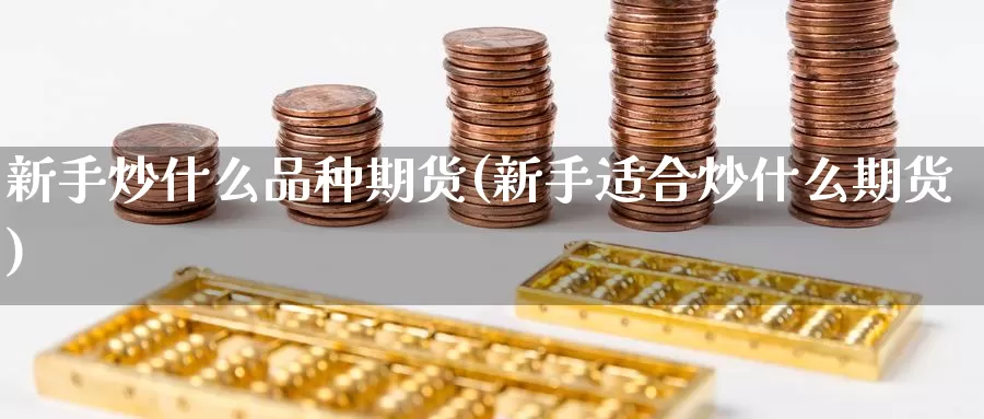 新手炒什么品种期货(新手适合炒什么期货)