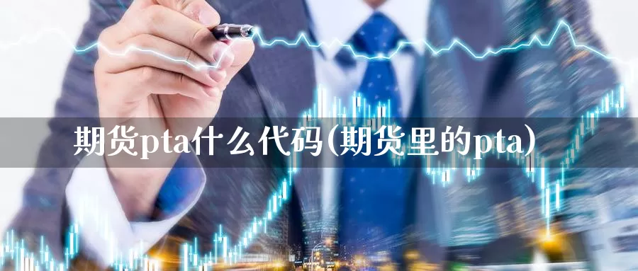 期货pta什么代码(期货里的pta)